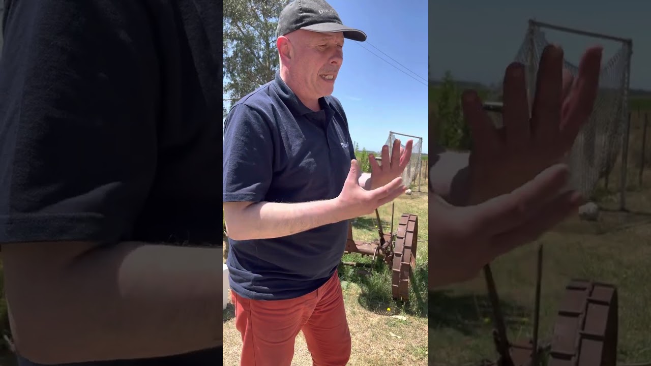 Recorriendo todo nuestro distrito interior