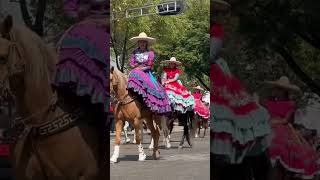 The Revolution Day viral subscribe shortvideo viralvideo mexico mexicocity méxico shortsfeed