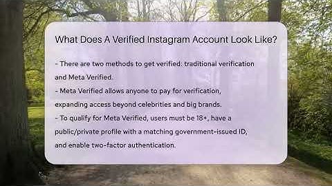What Does A Verified Instagram Account Look Like? - Everyday-Networking