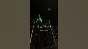 سورة العنكبوت الآية 55