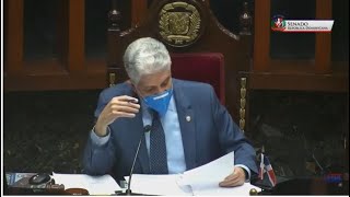 EN VIVO 15/12/2020 Sesión en el Senado