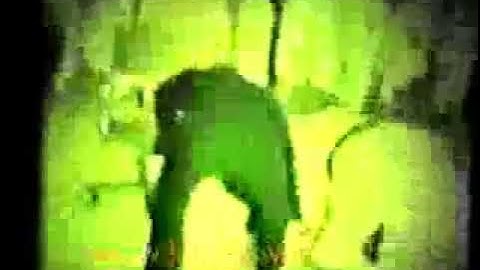 choi yong sool hapkido