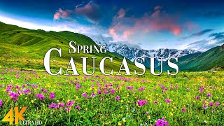 Spring Caucasus Mountains 4K Ultra HD • Stunning Footage, Scenic Relaxation Film with Calming Music.