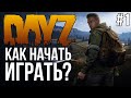 DAYZ как начать играть новичку? Мой первый стрим в Дейз!