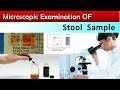 Stool microscopic examination   clear  100 correct method 