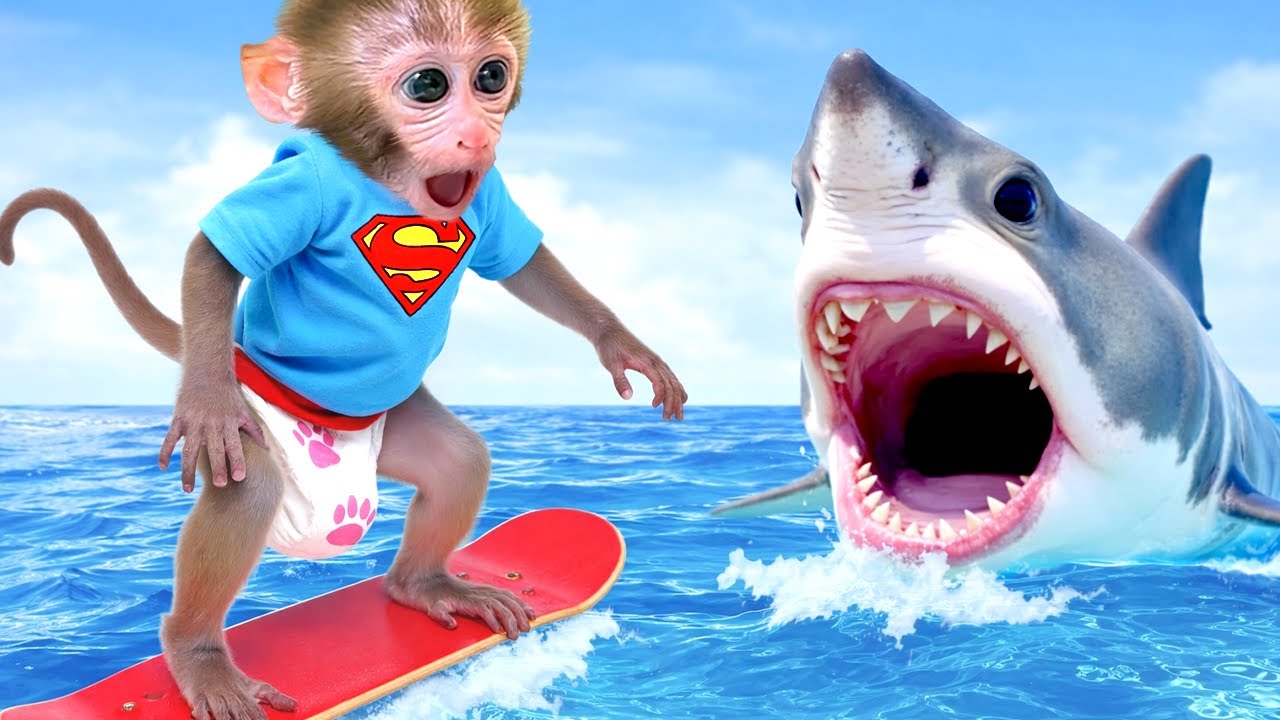 Bon Bon si Monyet Pergi Paralayang dan Perjalanan untuk Menemukan Pulau Terpencil