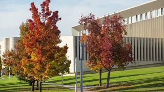 El campus de la Universidad de Navarra - Carlos Soria