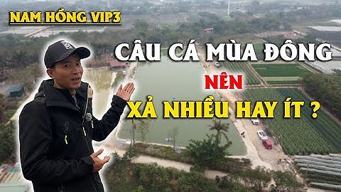 CÂU CÁ MÙA ĐÔNG NÊN XẢ NHIỀU HAY ÍT? | VIETNAM FISHING TV