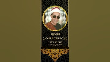 سورة يوسف برواية رويس عن يعقوب الحضرمى | محمد ابو سبع #تلاوة_مؤثرة #اكسبلور #تيك_توك #حالات_واتس