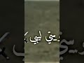 في العركه بضرب وكسر دعم واكسبلور فضل وليس امر في العركه بضرب وكسر دعم واكسبلور فضل وليس امر