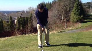 Owen chip 20130331-2
