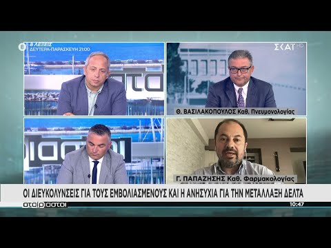 Οι Καθηγητές Θ.