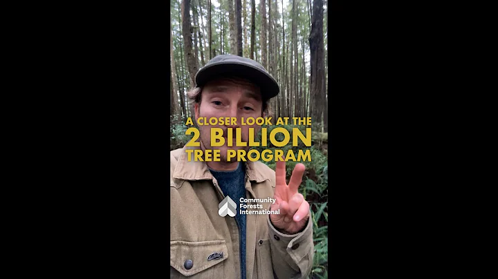 A Closer Look at the 2 Billion Tree Program in Canada