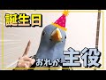 かわもん、誕生日を迎える【動物組】