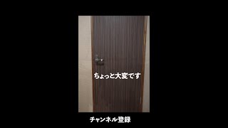 女性のスケスケなサイクルジャージ　#Shorts