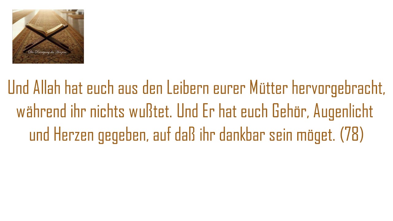 Haben sie nicht auf die Vögel gesehen (...)? Nur Allah