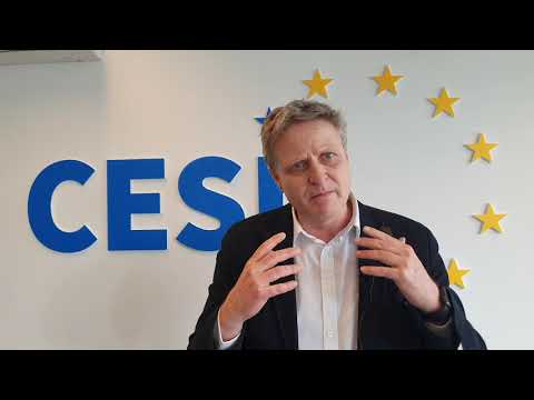 Klaus Heeger remarks on the precarious work final conference