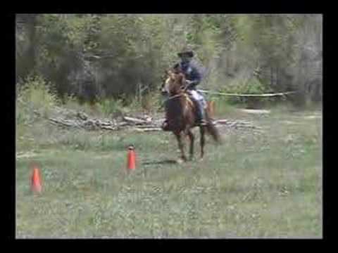 Rick Hoffman Extreme Cowboy Race