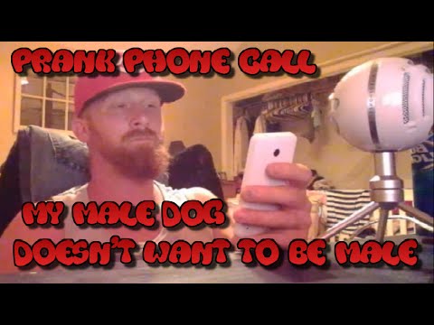 prank-call-#1---my-male-dog-dosent-want-to-be-a-male