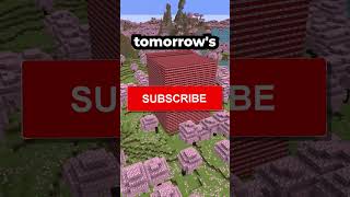 I Exploded 19,524 TNT Blocks for My Subscribers!