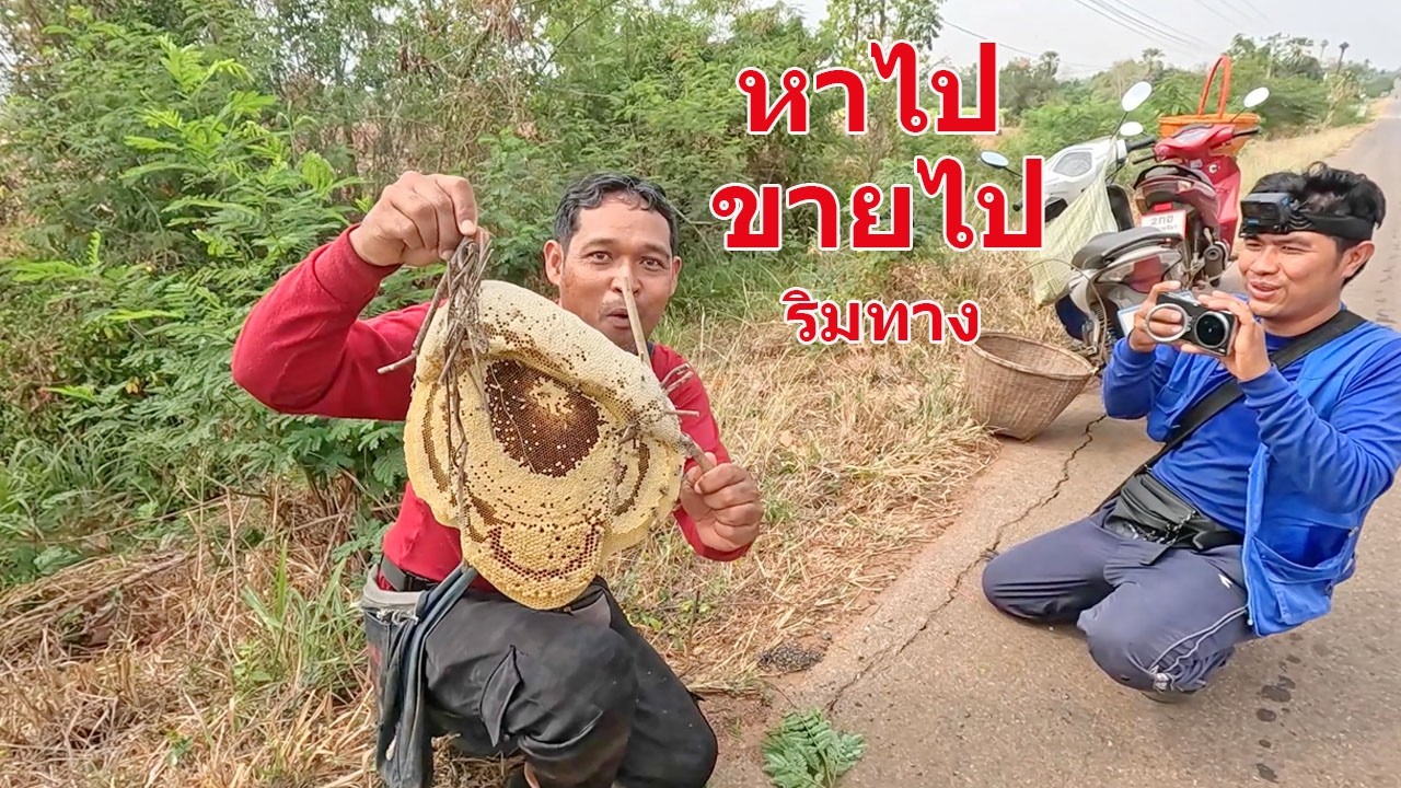 หาไปขายไป ริมทาง มีแต่รังใหญ่ๆ ผึ้งมิ้มลงเยอะ