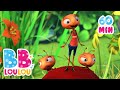 Les Fourmis Marchent + 60 min comptines et chansons éducatives | BB LouLou