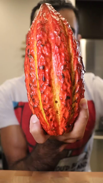Let's Make Chocolate (From the CACAO POD)