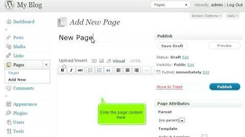 WordPress 3.0 - 09 - Pages