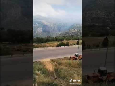 وائل جسار أوعدك