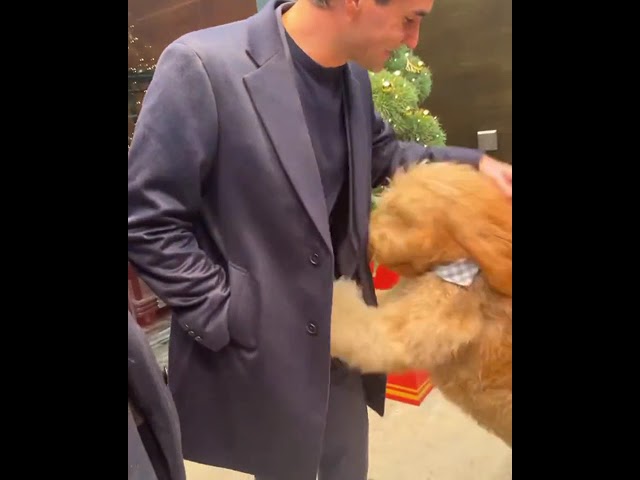 The dog recognized Roger Federer and wanted to hug 🥰 #shorts #tennis #federer class=