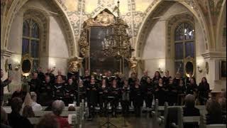 Vittinge kyrkokör - Kärlekens tid