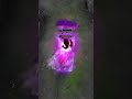 AS PROFUNDEZAS DO LOL...? #fy #leagueoflegends #wildrift #SummerOfGoals - [EP3270]