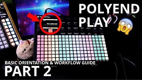 Basic Orientation & Workflow Guide Pt. 2 // Polyend Play Tutorial