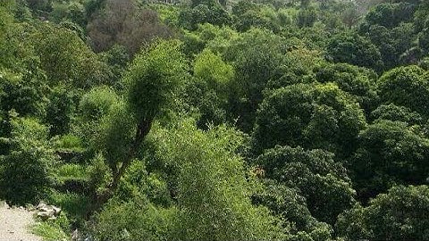 قرآن كريم من سورة ق حتى الحجرات القارئ احمد محفوظ