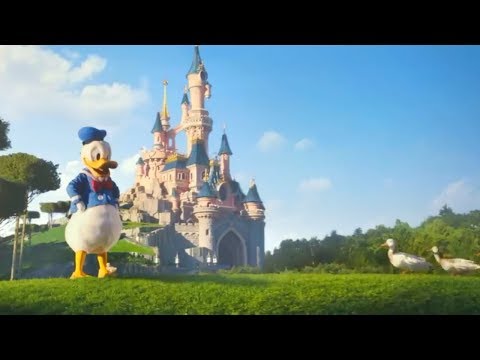 Video: Denne Bedårende Tjenestehunden Elsker å Dra Til Disney World - Og Hennes Glade Gjensyn Med Donald Duck Er For Ren For Ord