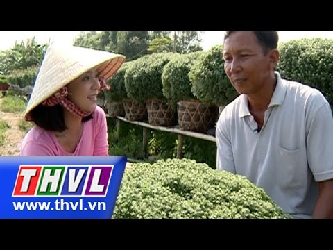 THVL | Ký sự: Những cánh đồng đón Tết - Tập 3: Mùa hoa Tết