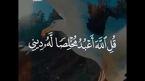 ما تيسر من سورة الزمر بصوت الشيخ حسن صالح