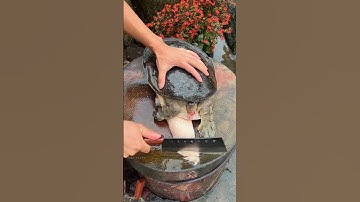 Turtle Cutting Technique |#shorts