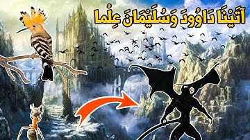 سورة النمل مملكة سليمان | عبد الله الخلف
