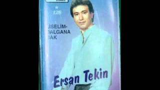 ERSAN TEKİN   DALGANA BAK Resimi