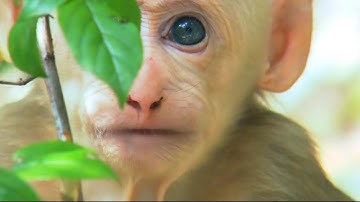 This Week at the UN in 60 Seconds -- 10 May 2019