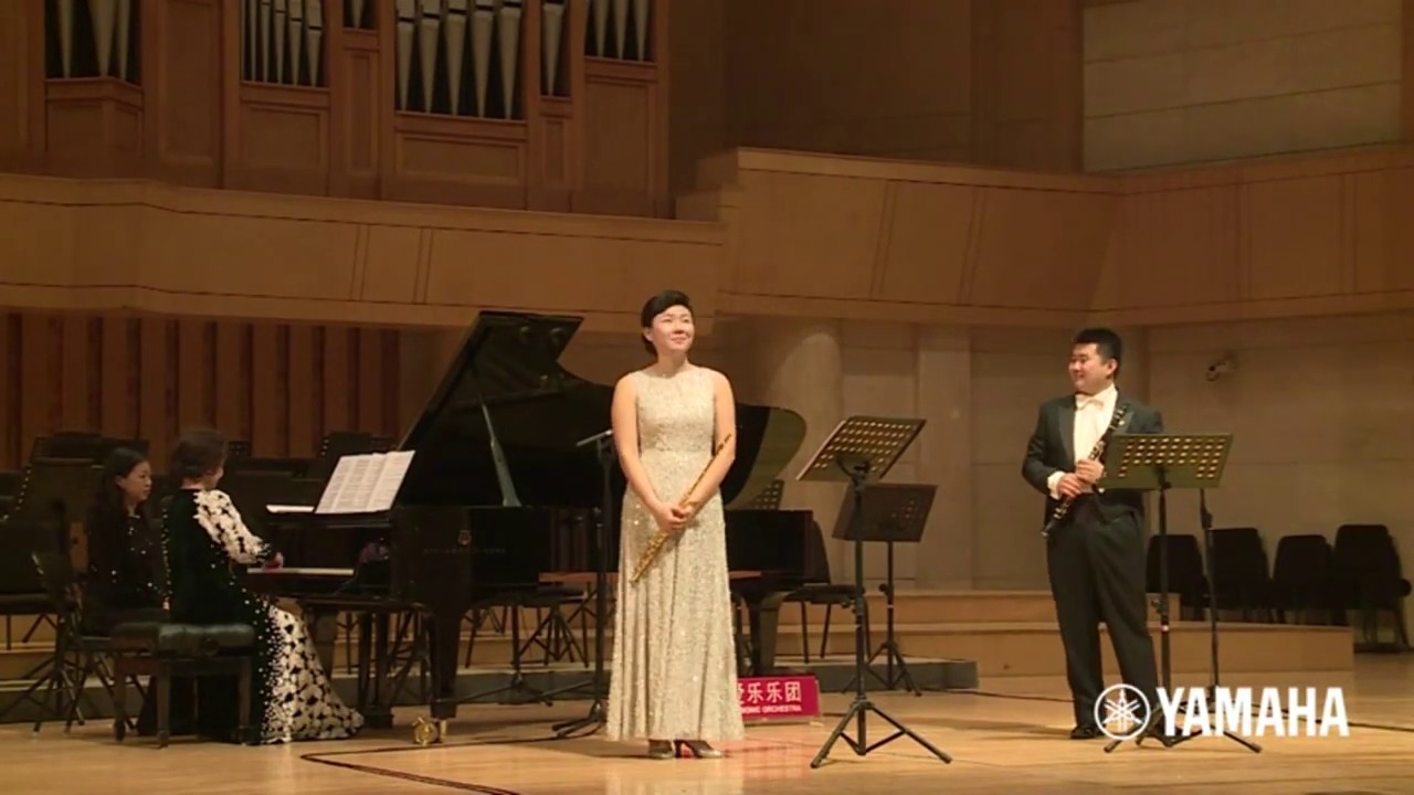 Danzi Concertante in Bb Major for Flute, Clarinet & Orchestra - 1 -  Colin Liu, Ni YiZhen, Chen Min