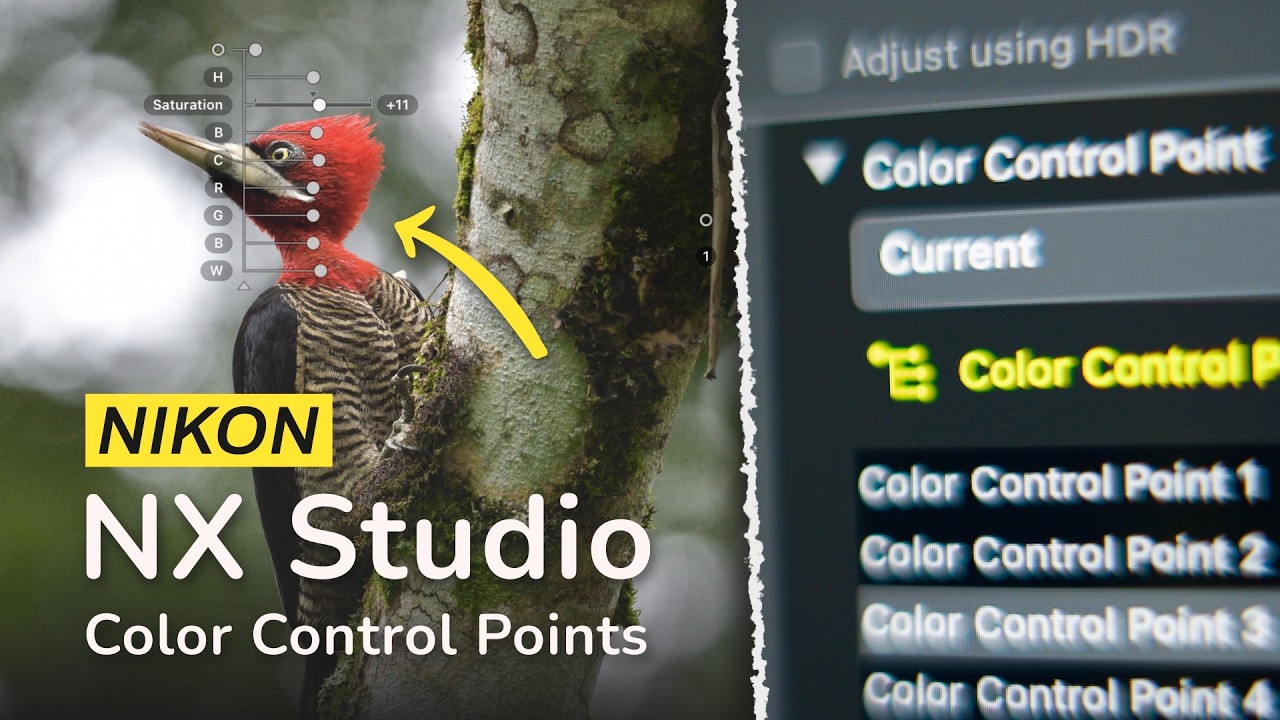 Easy Local Editing: Color Control Points in Nikon NX Studio (Free ...