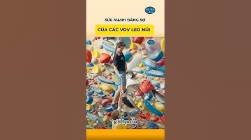 Sức Mạnh Đáng Sợ Của Các VDV Leo Núi #khoahọcthúvi #facts #kiếnthức