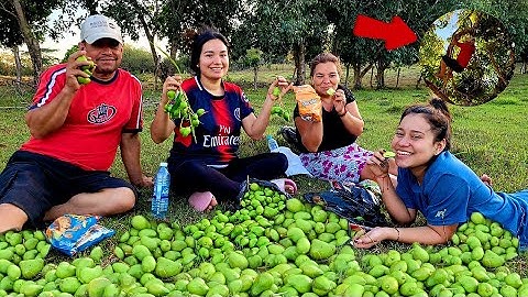 BAJANDO MANGOS🥭 en los potreros de El Salvador
