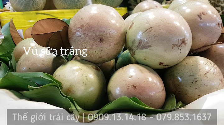 Tổng hợp các loại trái cây Việt nam ngon nhất tại Thế giới trái cây và đã xuất ra thế giới.