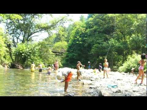 烏川渓谷緑地1 概要 Youtube 烏川渓谷緑地1 概要 Youtube