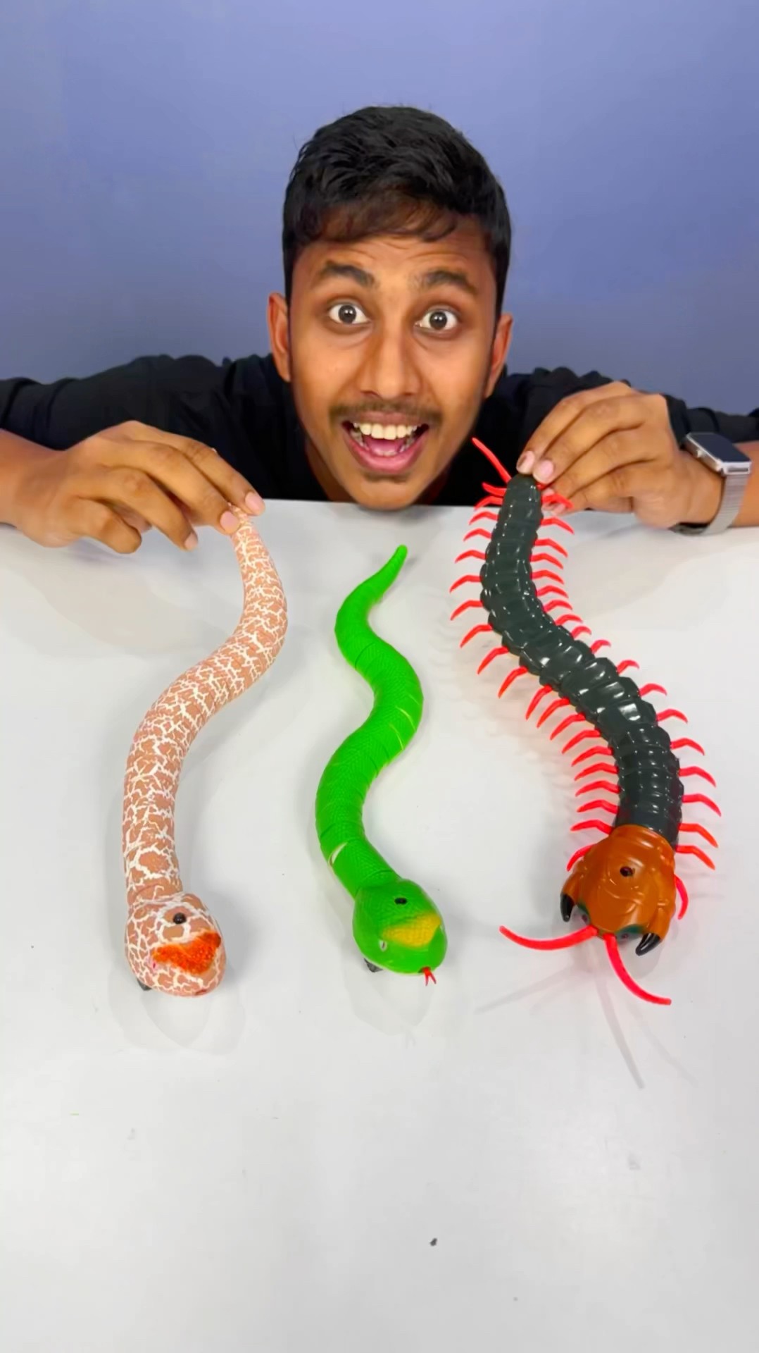 Remote Control Kankhajura and RC Snake #rcsnake