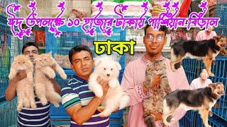 Persian cat price in Bangladesh | Dog price in Bangladesh | Katabon animal market in Bangladesh