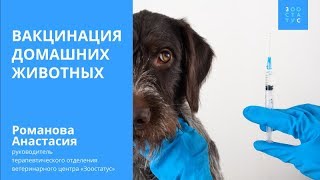 Вакцинация домашних животных